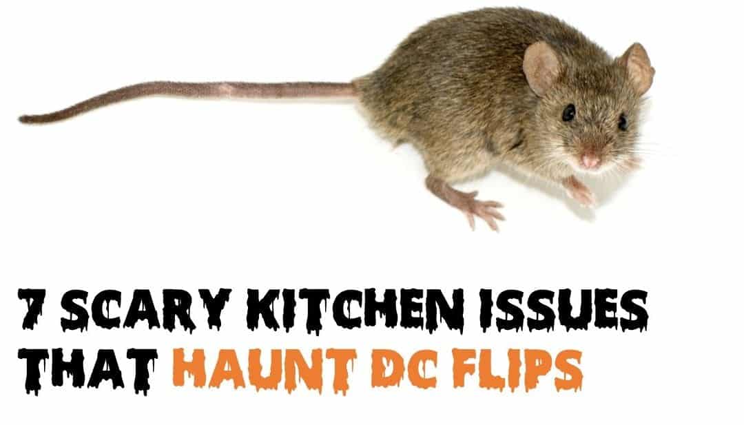 7 Scary Kitchen Issues that Haunt DC Flips