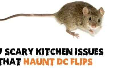 7 Scary Kitchen Issues that Haunt DC Flips